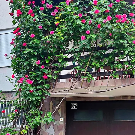 Znk Family House Апартаменти Скоп'є