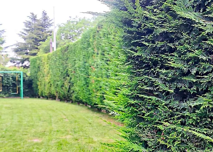 Apartment Znk Family House Skopje