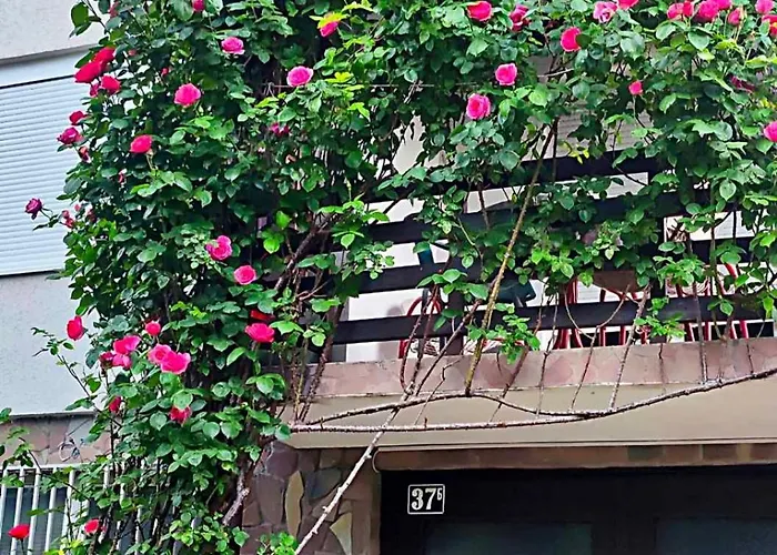 Znk Family House Apartment Skopje